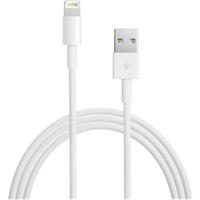 Apple Lightning to USB Cable 2m