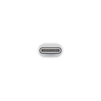 Apple USB-C to Lightning Adapter