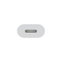 Apple USB-C to Lightning Adapter
