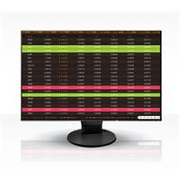 EIZO EV2456-WUXGA