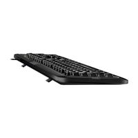 Genius klávesnice KB-118 CZ+SK, USB