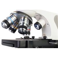Mikroskop Discovery Atto Polar Digital