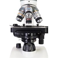 Mikroskop Discovery Atto Polar