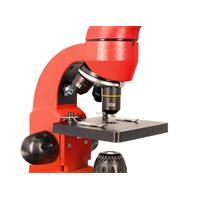 Mikroskop Levenhuk Rainbow 50L Orange