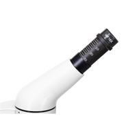 Mikroskop Levenhuk Rainbow D50L PLUS Moonstone