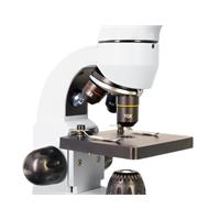 Mikroskop Levenhuk Rainbow D50L PLUS Moonstone