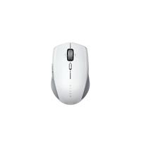 Razer Pro Click Mini