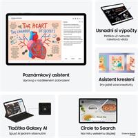 Samsung Galaxy Tab S10+ (WiFi) 12GB/256GB stříbrný
