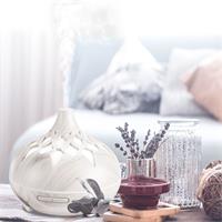 SIXTOL Aroma difuzer Palm bílé dřevo 500ml