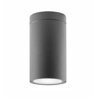 Svítidlo Nova Luce CERISE R TOP GREY stropní, IP 54, GU10