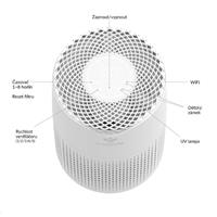 TrueLife AIR Purifier P3 WiFi